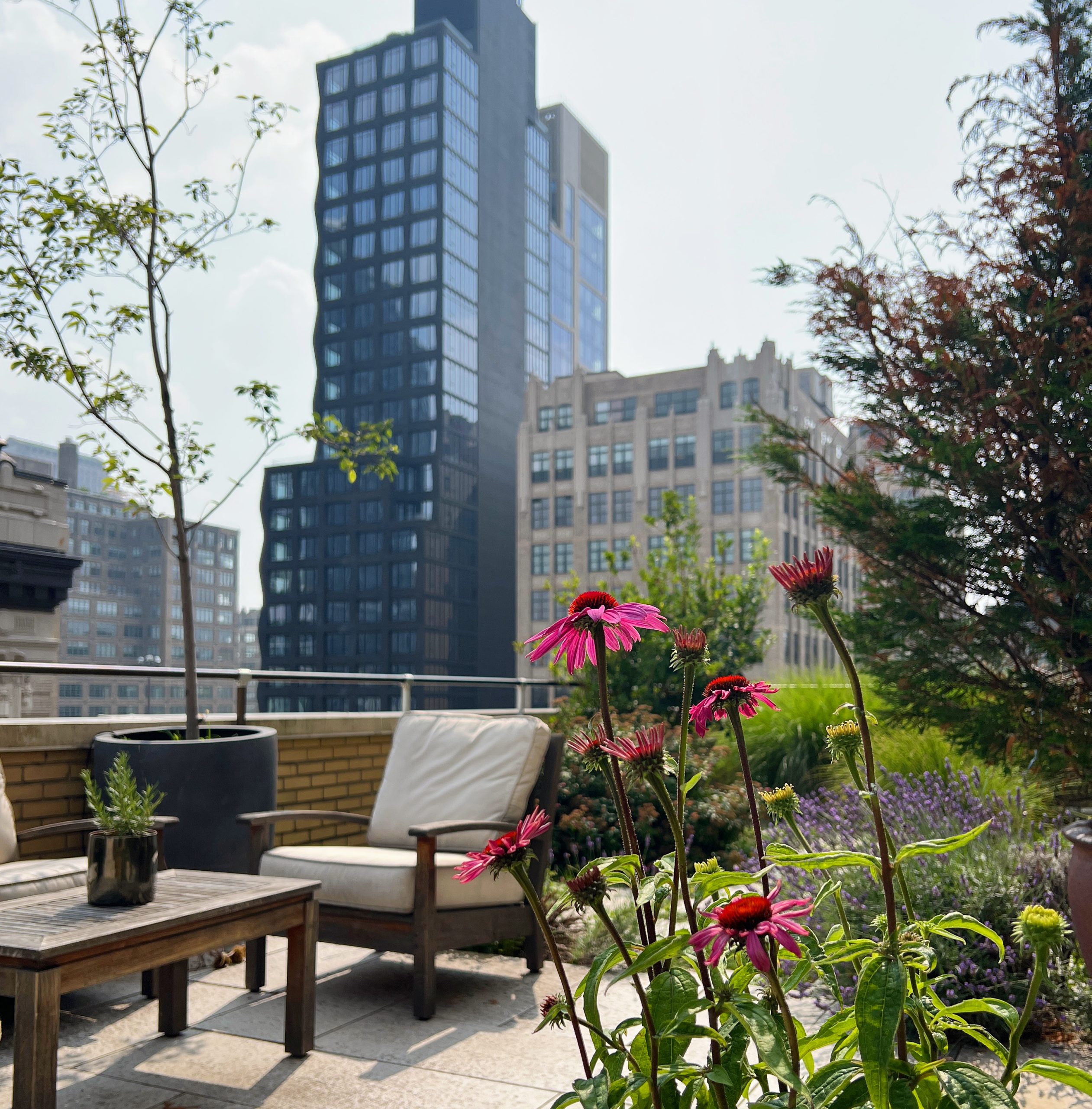 SoHo Terrace - Office Space